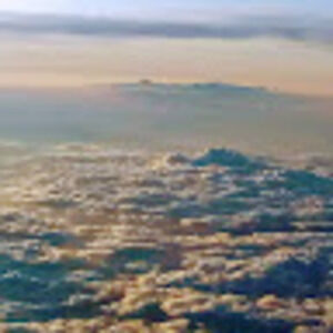 Meet your Posher, Cole